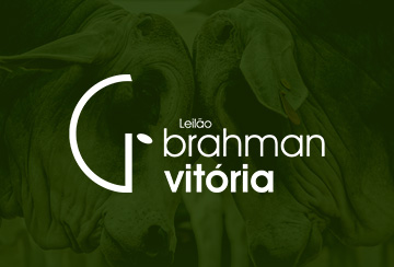 LEILÃO BRAHMAN VITÓRIA